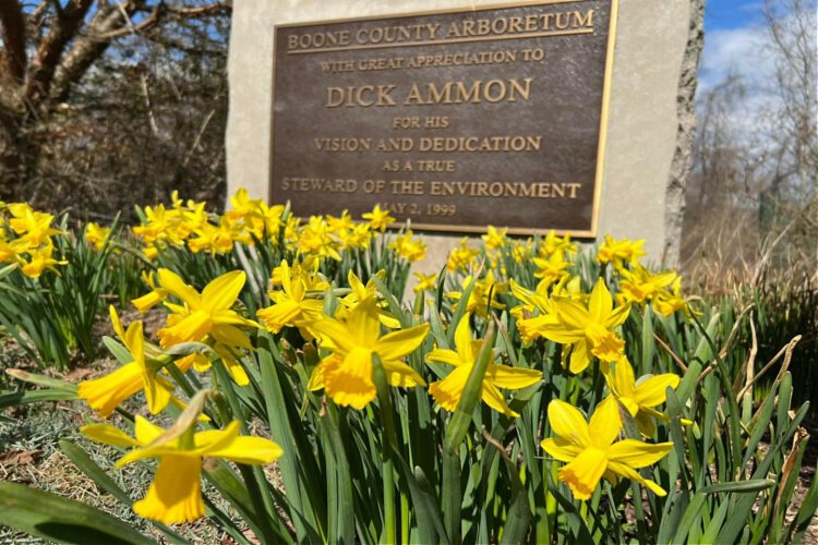The Arboretum's plant sale will be held at Ammon Nursery