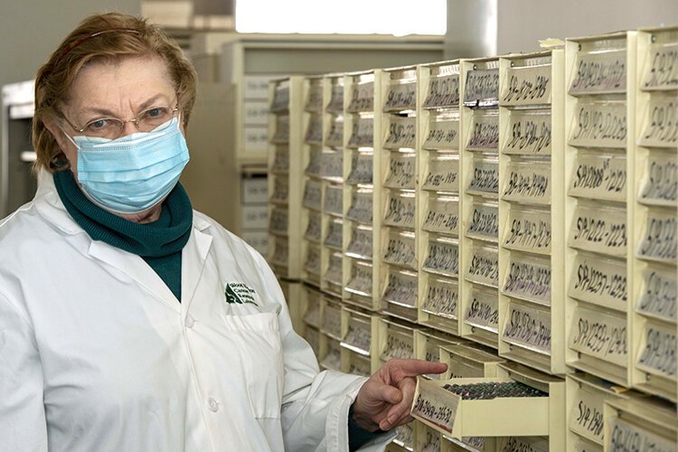 Dr. Julia Carter and a portion of the extensive tissue sample collection at Wood Hudson. 