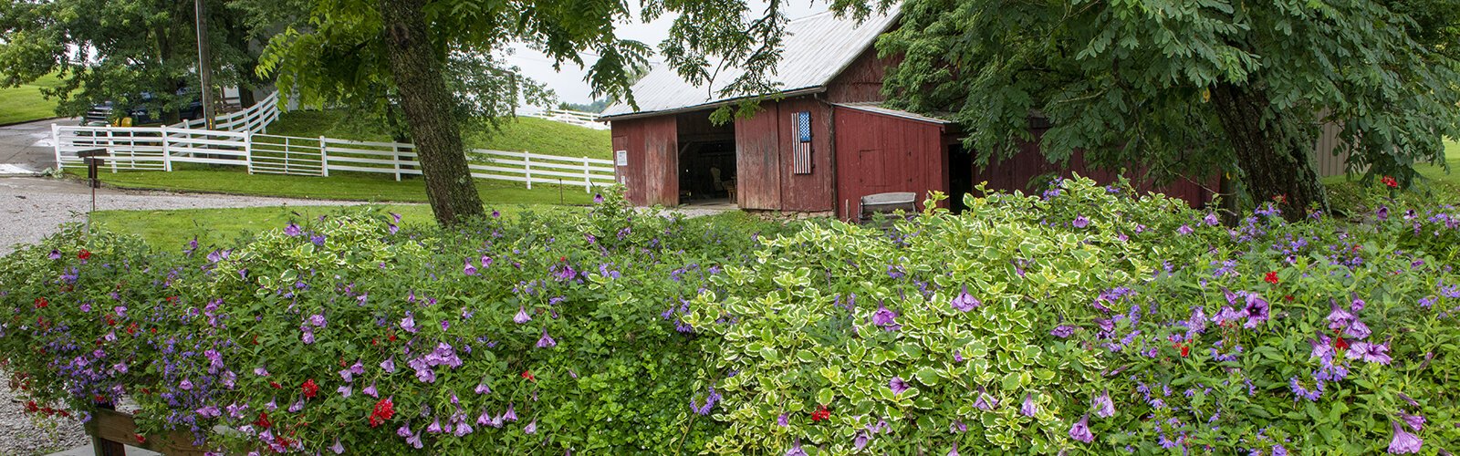 Neltner's Farm, Four Mile Road, Camp Springs, Ky.