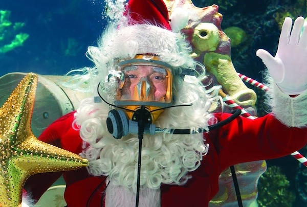 Scuba Santa is back at Newport Aquarium to frolic with the fish