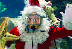 Scuba_Santa_small