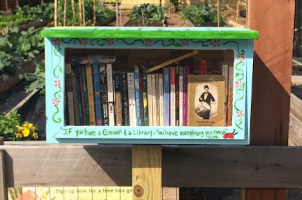Little libraries, which can be seen popping up all over NKY, are one example of a grant-worthy small project